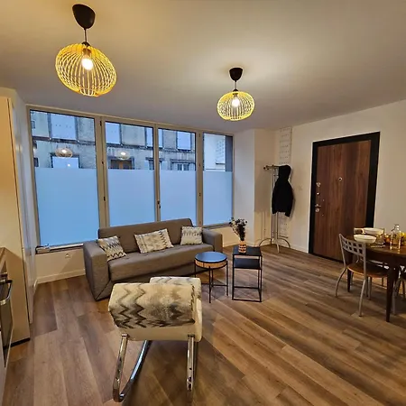 Appartement 4, 5 Et 10 Personnes Renoves En Centre-ville