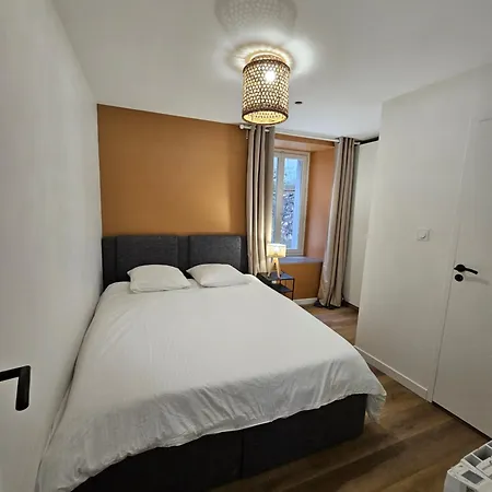 4, 5 Et 10 Personnes Renoves En Centre-ville Apartment Mont-Dore
